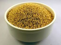 Proso Millet